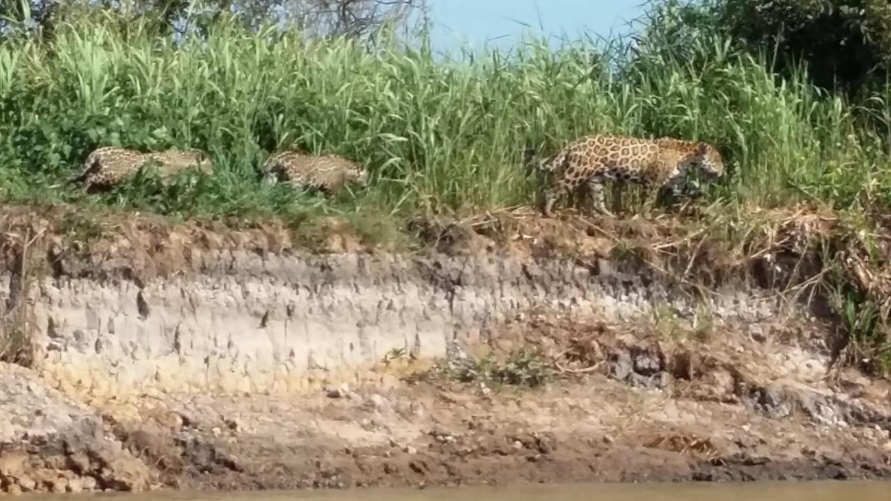 Hotel Pousada And Safari クイアバ エクステリア 写真